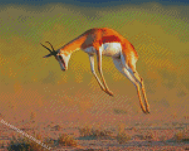 Aesthetic Springbok Diamond Painting