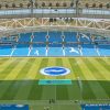 Amex Brighton Stadium Diamond Painting