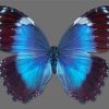 Beautiful Iridescent Butterfly Diamond Painting