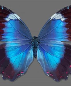 Beautiful Iridescent Butterfly Diamond Painting