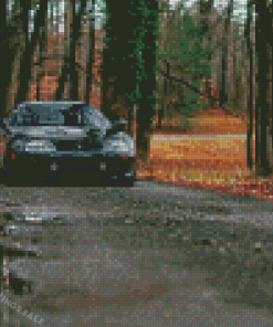 Black Car In The Forest Diamond Painting