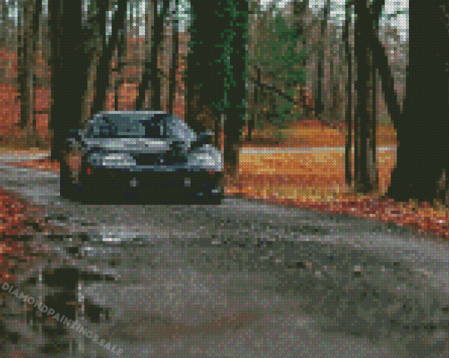 Black Car In The Forest Diamond Painting