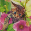 Aesthetic Cat With Flowers Diamond Painting