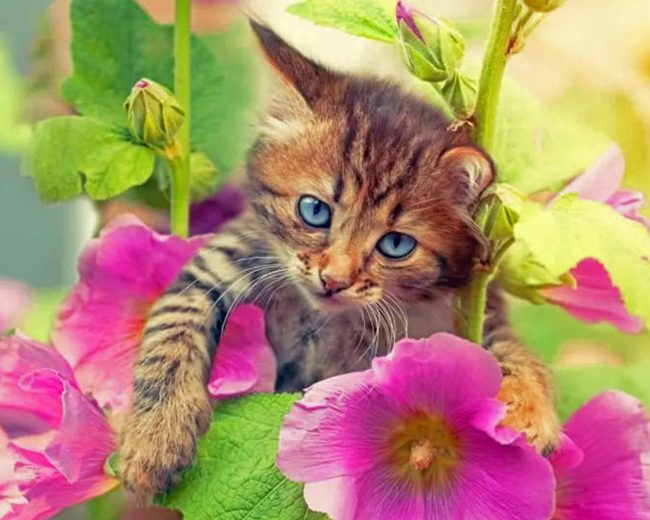 Aesthetic Cat With Flowers Diamond Painting