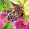 Aesthetic Cat With Flowers Diamond Painting