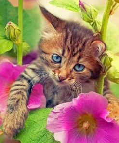 Aesthetic Cat With Flowers Diamond Painting