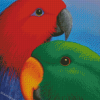 Eclectus Parrot Heads Diamond Painting