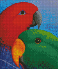Eclectus Parrot Heads Diamond Painting