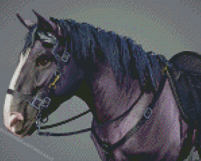 Percheron Horse Diamond Painting