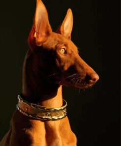 Pharaoh Hound Dog Side Profile Diamond Painting