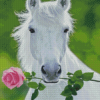 White Horse And Rose Diamond Painting