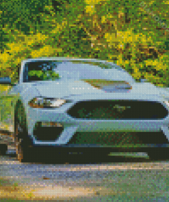 2021 Mustang Mach 1 Diamond Paintings