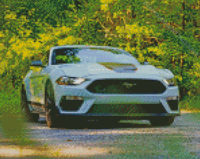 2021 Mustang Mach 1 Diamond Paintings