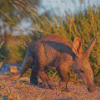 Aardvark Animal Diamond Paintings