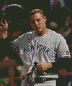 Anthony Rizzo New York Yankees Player Diamond Paintings