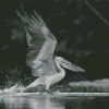 Black And White Bird And Water Diamond Painting