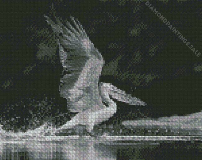 Black And White Bird And Water Diamond Painting