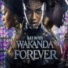 Black Panther Wakanda Diamond Painting