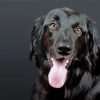 Black Flat Coated Retriever Dog Diamond Painting