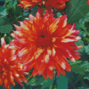 Blooming Red Orange Dahlia Diamond Paintings