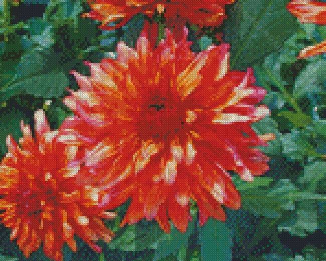 Blooming Red Orange Dahlia Diamond Paintings