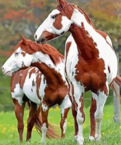 Brown And White Pinto Horses Diamond Painting