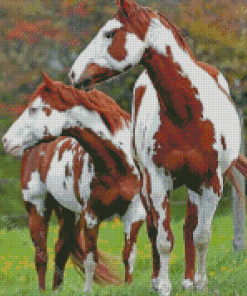 Brown And White Pinto Horses Diamond Paintings