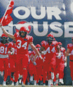 Calgary Stampeders Canadian Football Team Diamond Paintings