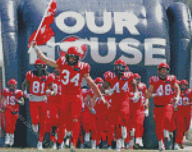 Calgary Stampeders Canadian Football Team Diamond Paintings