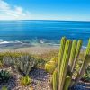 California Encinitas Beach Diamond Painting