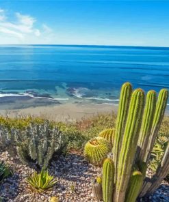 California Encinitas Beach Diamond Painting