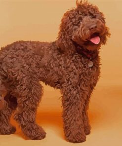 Chocolate Labradoodle Dog Diamond Painting