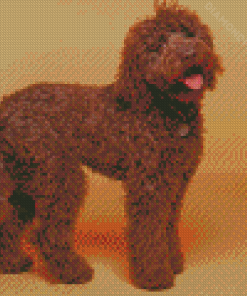 Chocolate Labradoodle Dog Diamond Paintings