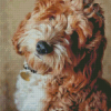 Cockapoo Dog Diamond Paintings