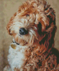 Cockapoo Dog Diamond Paintings