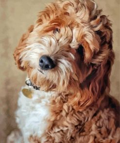 Cockapoo Dog Diamond Painting