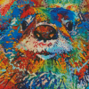 Colorful Abstract Otter Diamond Paintings