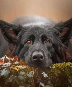 Black German Shepherd Diamond Painting