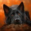 Black German Shepherd Dog Animal Diamond Painting