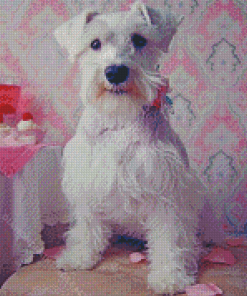 White Miniature Schnauzer Dog Diamond Paintings