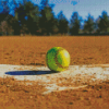 Fastpitch Ball Diamond Paintings