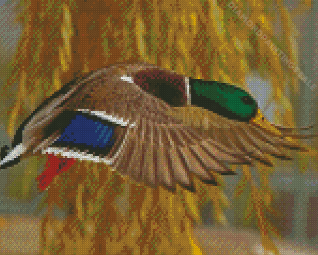 Flying Green Head Waterfowl Diamond Paintings