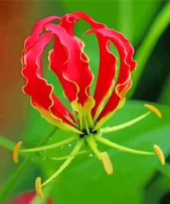 Gloriosa Lily Diamond Painting