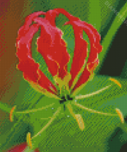 Gloriosa Lily Diamond Paintings