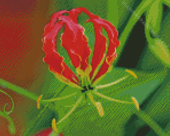 Gloriosa Lily Diamond Paintings