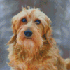 Golden Wire Haired Dachshund Diamond Paintings