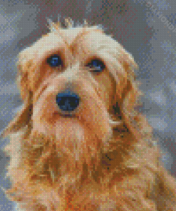 Golden Wire Haired Dachshund Diamond Paintings