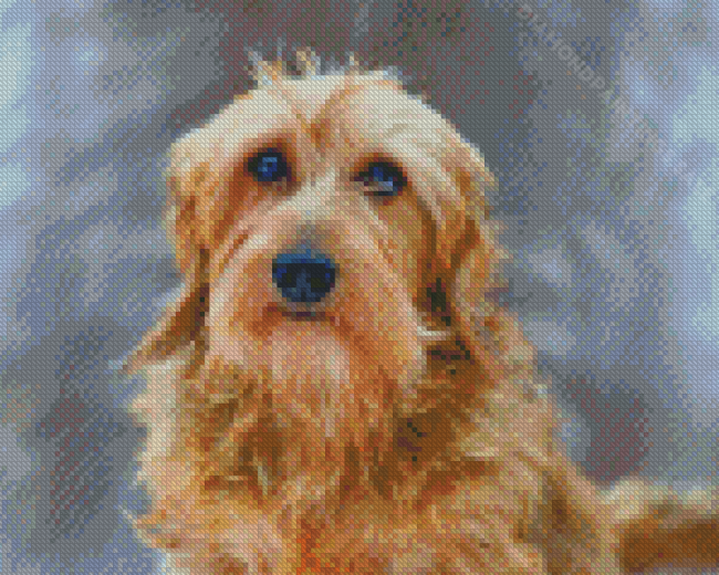 Golden Wire Haired Dachshund Diamond Paintings