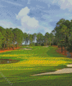 Golf Club Pinehurst North Carolina Diamond Paintings