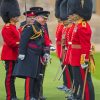 Grenadier Guards At Windsor Castle Diamond Painting